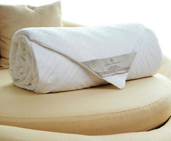Silk Comforter for Spring/Summer/Fall, 100% Long-Strand Silk Filling, Natural &