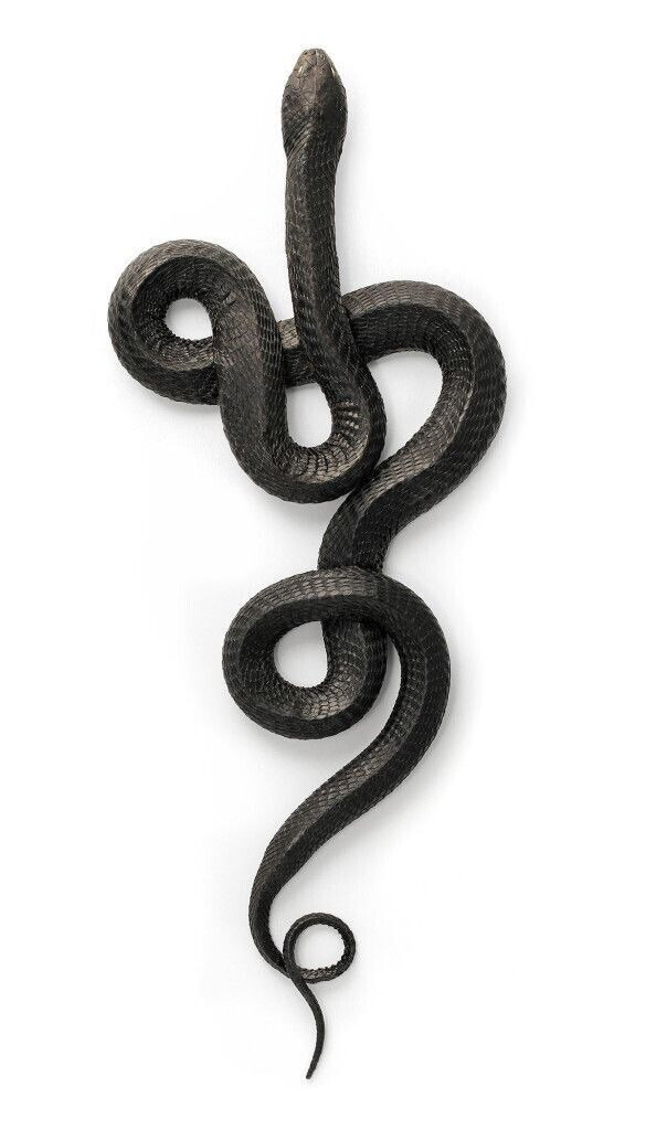 Black Snake Sticker gallery