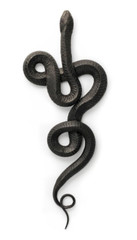 Black Snake Sticker