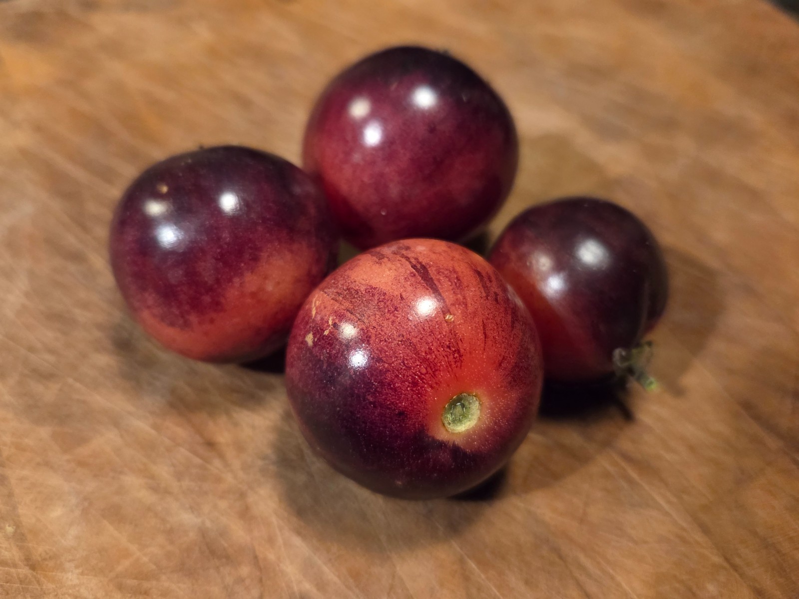 (20) BLACK STRAWBERRY TOMATO Seeds - Heirloom Cherry Tomatoes Organically Grown gallery