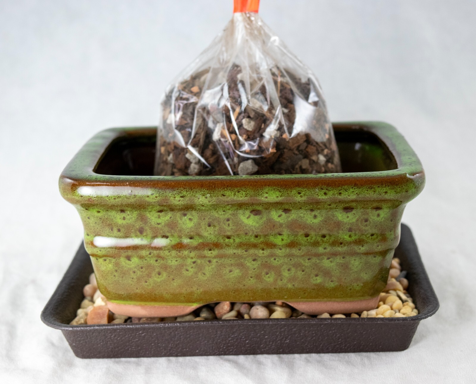 6" Rectangular Glazed Moss Green Cactus & Succulent, Bonsai Pot - Pot/Combo/Kit gallery