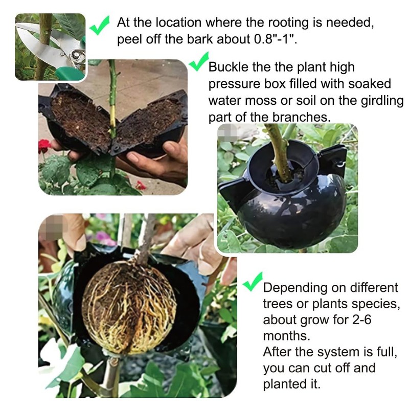 Air Layering Propagation Kit - 9 PCS Clear Grafting Balls for Fast Plant Growth gallery