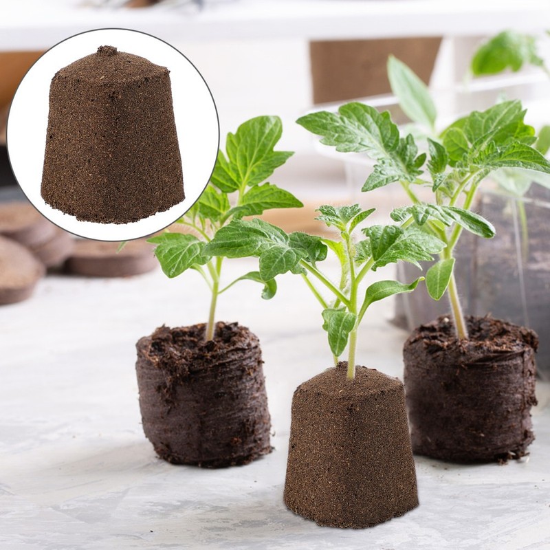 10pcs Soilless Cultivation Inserting Plant Fertilizer Nutrient Block gallery