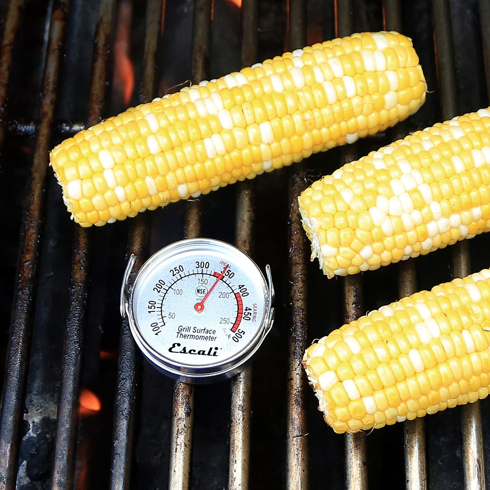 Escali AHG1 Stainless Steel Direct Grill Surface One Size, Silver gallery