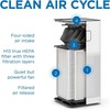Medify MA-50 Genuine Replacement 3 in 1 with Pre-filter, True HEPA H13 1-Pack gallery