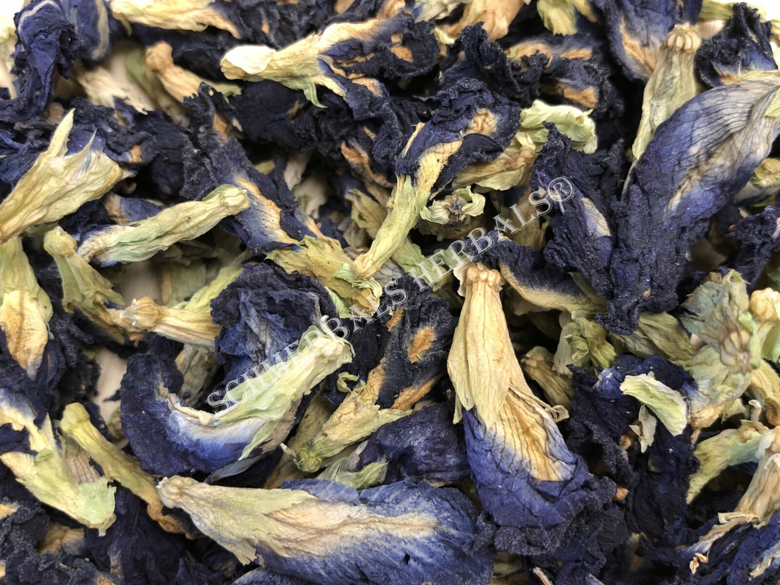 Butterfly Pea, Clitoria ternatea, 1 oz Whole Flower ~ Schmerbals Herbals gallery
