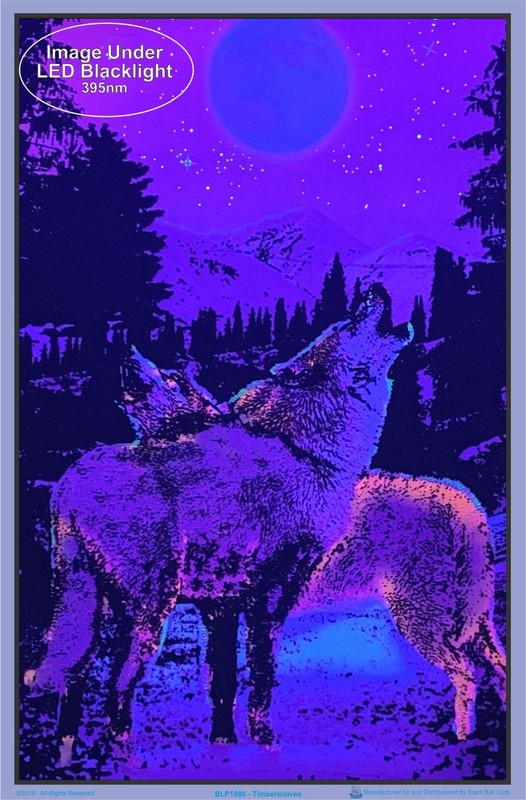 Timberwolves Flocked Blacklight Poster 23" x 35" Two Wolves Under Moonlight gallery