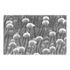 3M Hand Block 952, PH-AC, 3-3/8 in x 5-3/4 in gallery