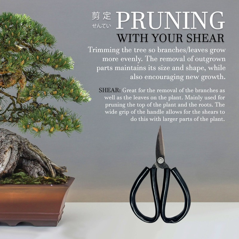 Bonsai Forged Sharp Wire Cutting Scissor with Rubber Handle - 1 Unit gallery