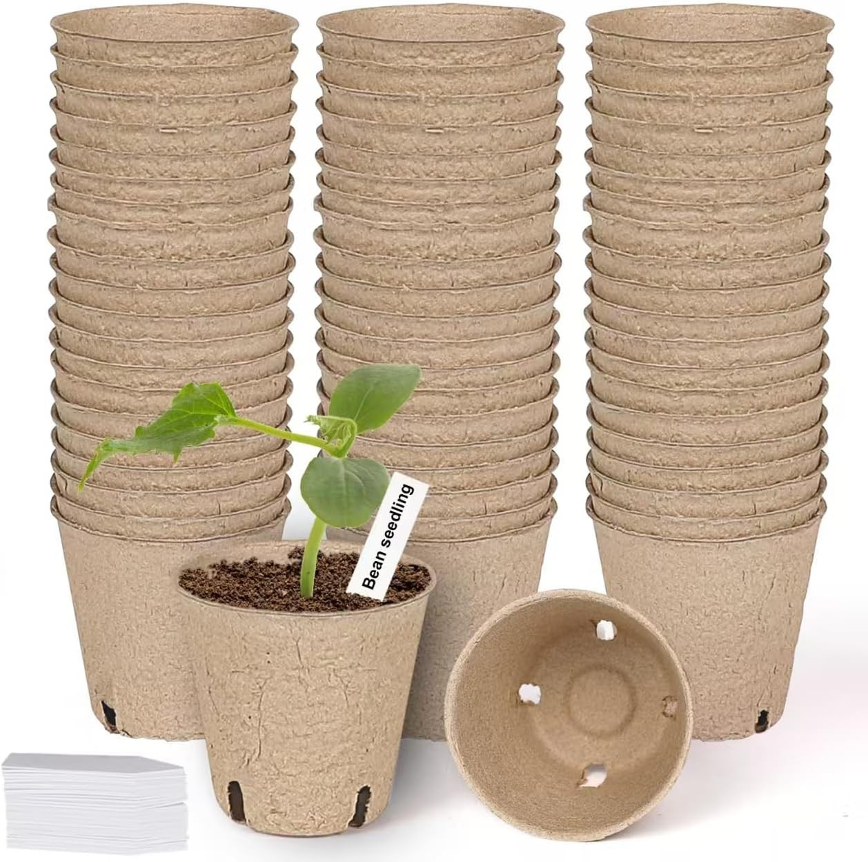 60 Pack 3.15 Peat Pots Biodegradable Seedling Starter Pots w/ Plant Labels gallery