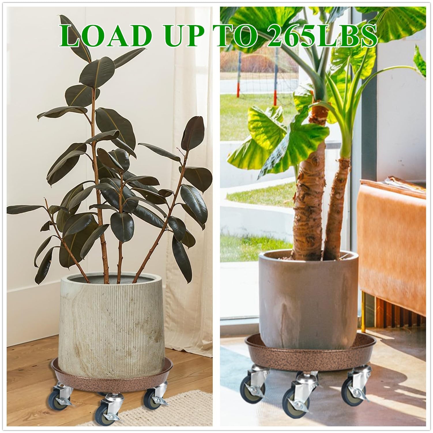 Praqecz 2 Pack Plant Caddy Wheels 12 Rolling Plant Stand 265 Lbs Heavy Duty gallery