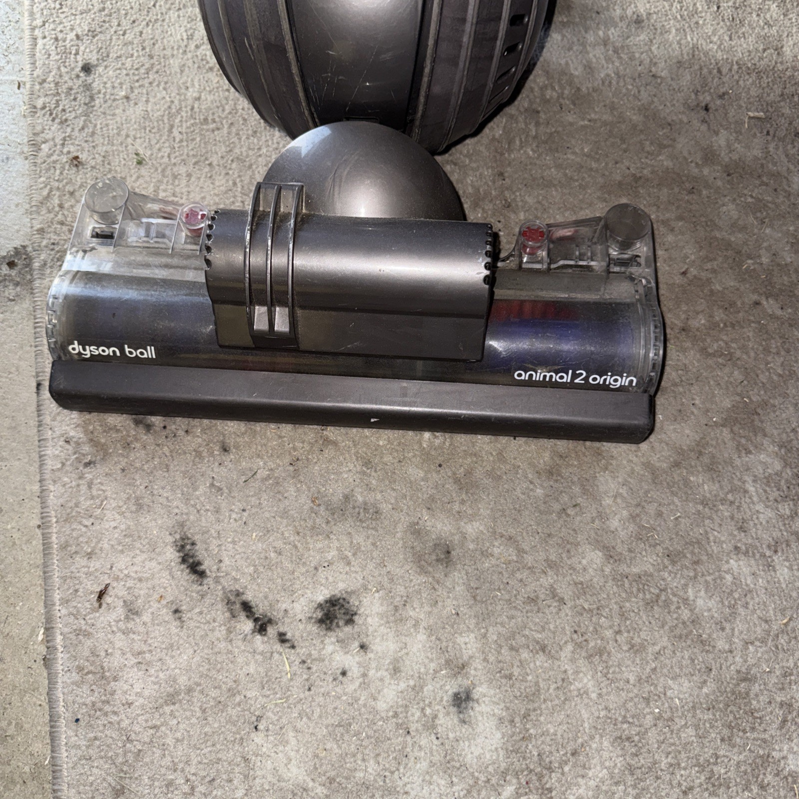 Dyson Ball Animal 2 Origin Upright Vacuum (Used-Very Good) gallery