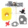 Carburetor For Briggs&Stratton 130201 130202 130203 130205 130206 130207 130212 gallery