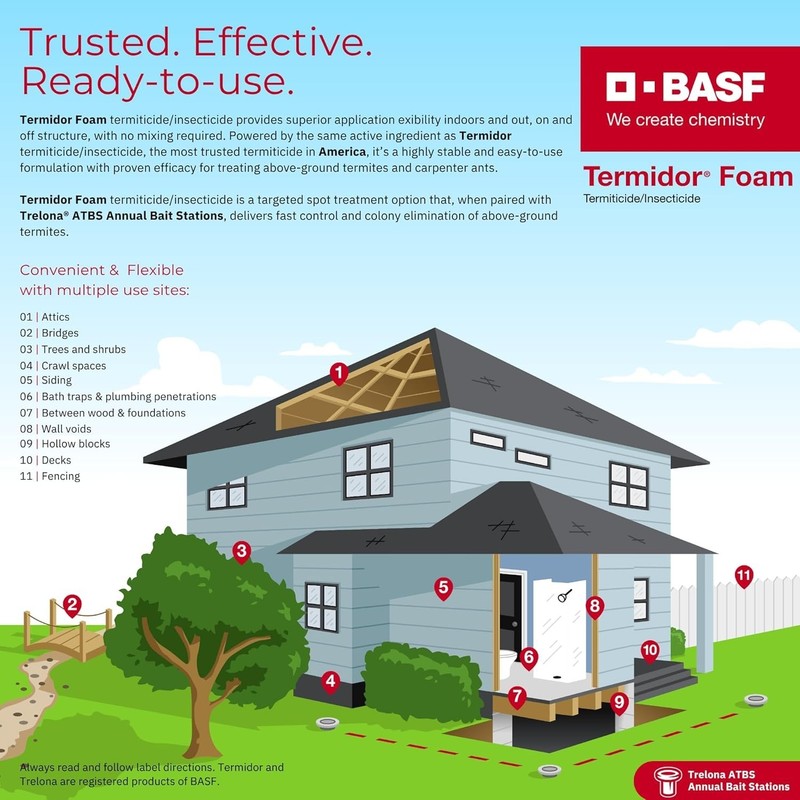 BASF Termidor Foam 20 oz - Termiticide Insecticide for Termites & Ants gallery