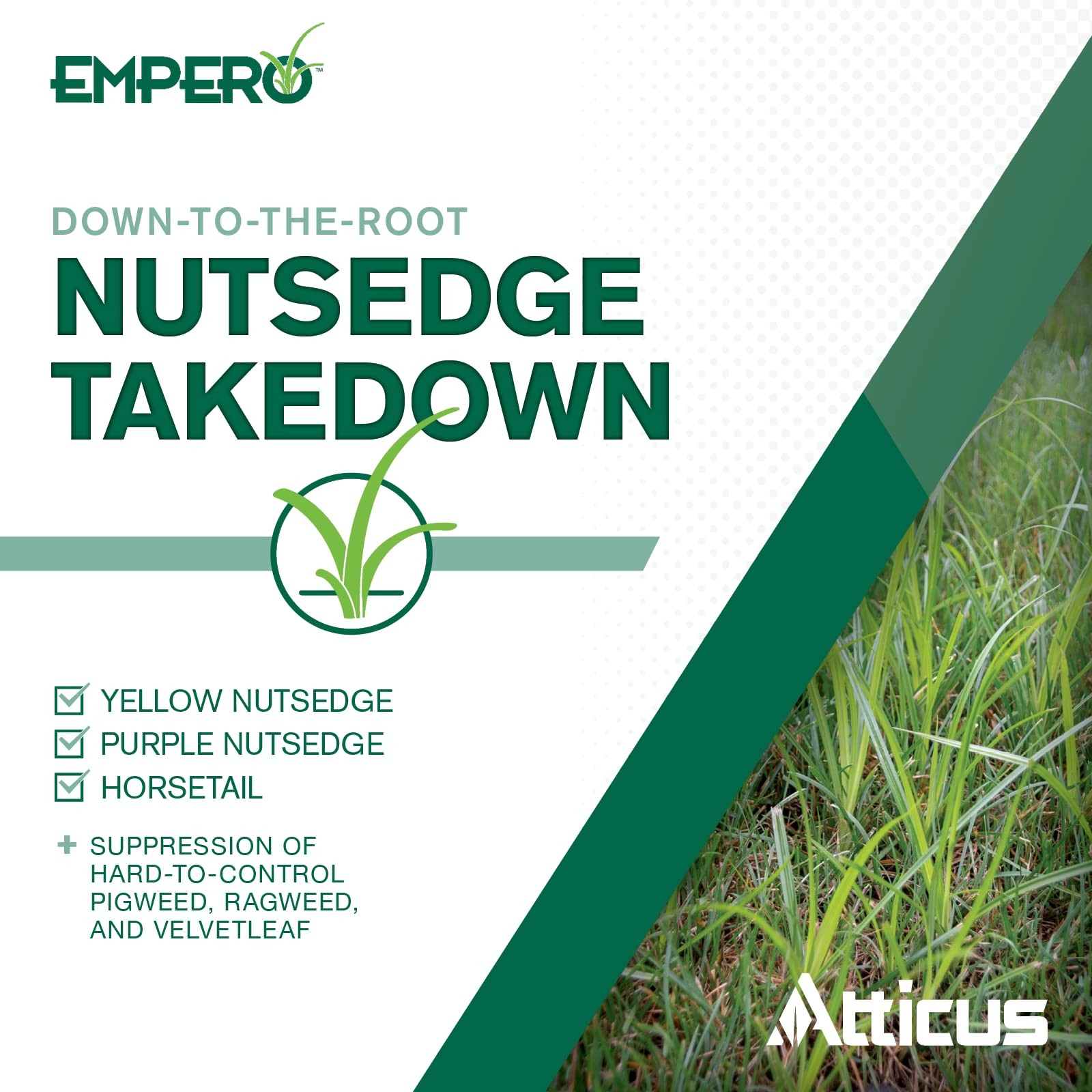 Atticus Empero Nutsedge Killer (1.33 oz) Halosulfuron-Methyl 75% Turf... gallery