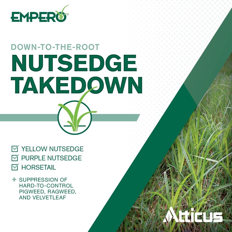Atticus Empero Nutsedge Killer (1.33 oz) Halosulfuron-Methyl 75% Turf... gallery