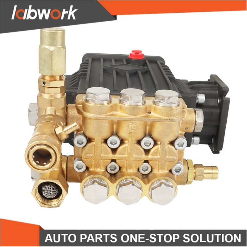 Labwork 3000 PSI Pressure Washer Pump CF 3030 G: 3.1 US gpm 3/4-in Shaft gallery