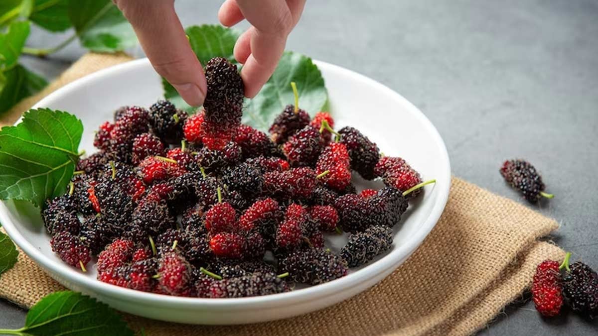 Mulberry Tree seeds 25+-count~organic~locally grown & harvested ~ health benefit gallery