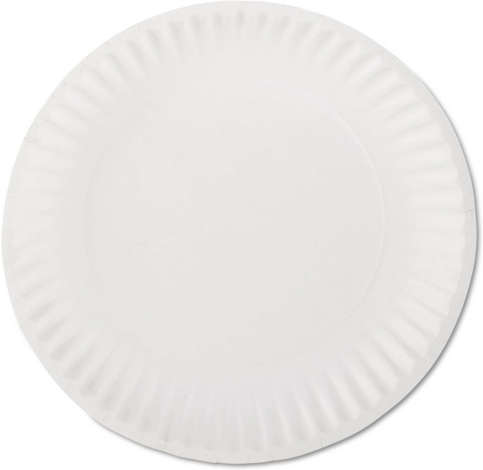 White Paper Plates 9 Inch Diameter 100/Bag 10 Bags/Carton 1000 Total gallery