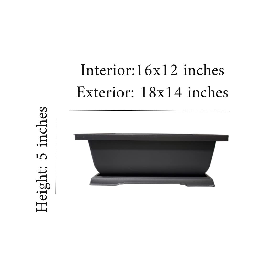 Giant 18 Inch Bonsai Pot and Drip Tray - Biggest Bonsai Display Pot on The Inter gallery