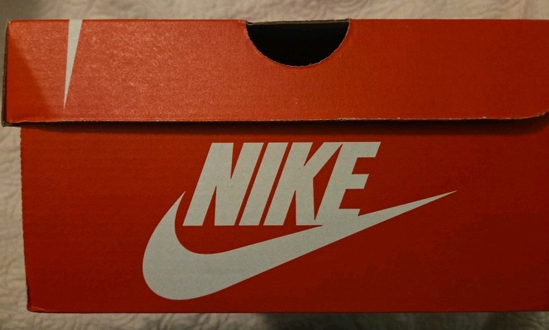 Nike Dunk LowRetro Empty Shoe Box. (T) Size 12 gallery