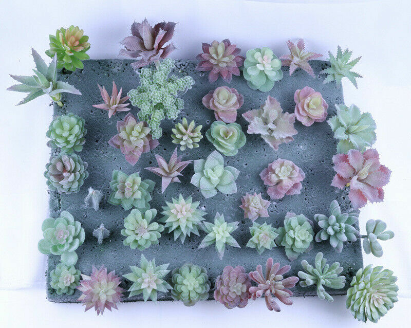 Artificial Color Succulent Plants Unpotted Fake Lotus Plant Home Decor 18 Pcs/PK gallery