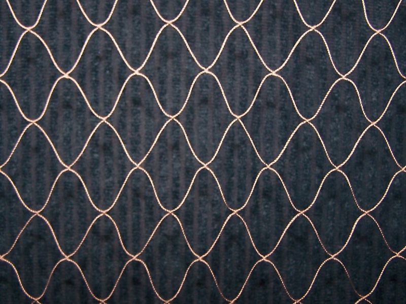 20' x 14' QUAIL NET POULTRY NET GAME BIRD 45 LB. TEST CHICKEN NET 1" #4 NYLON gallery