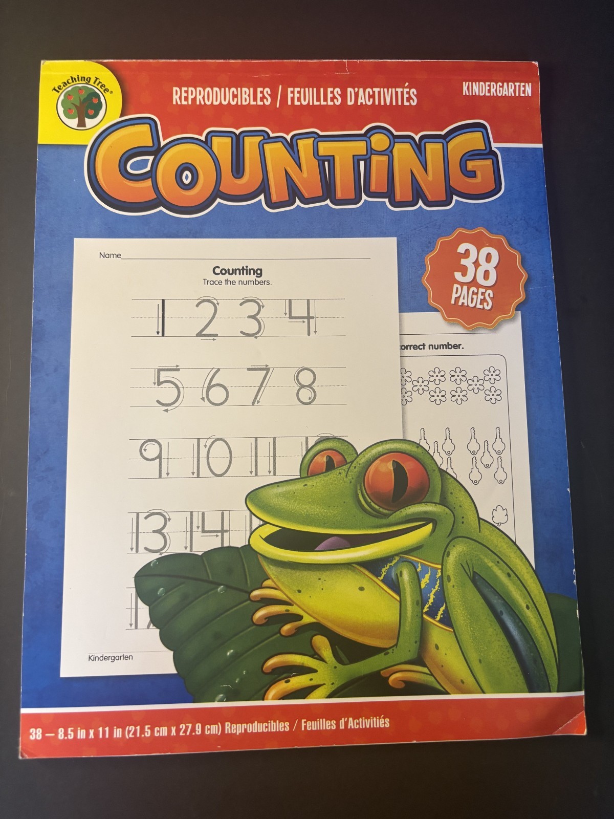 Teaching Tree Kindergarten Counting 38 Pages 38-8.5 in x 11 in Softcover Book gallery