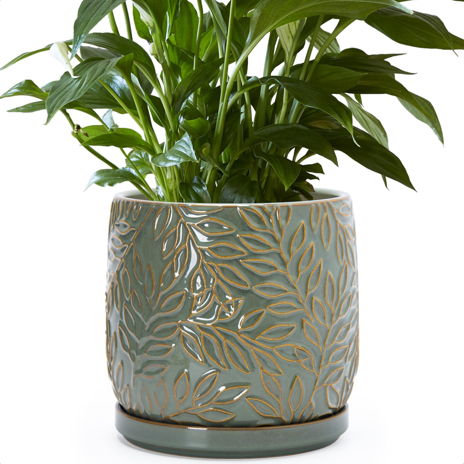 D'vine Dev 8 Inch Embossed Leaves Stoneware Planter Pot with Drainage Hole an... gallery