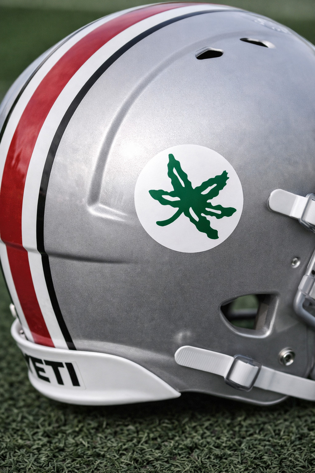Ohio Buckeye State Leaf Round Laminated Vinyl Sticker/Decal gallery