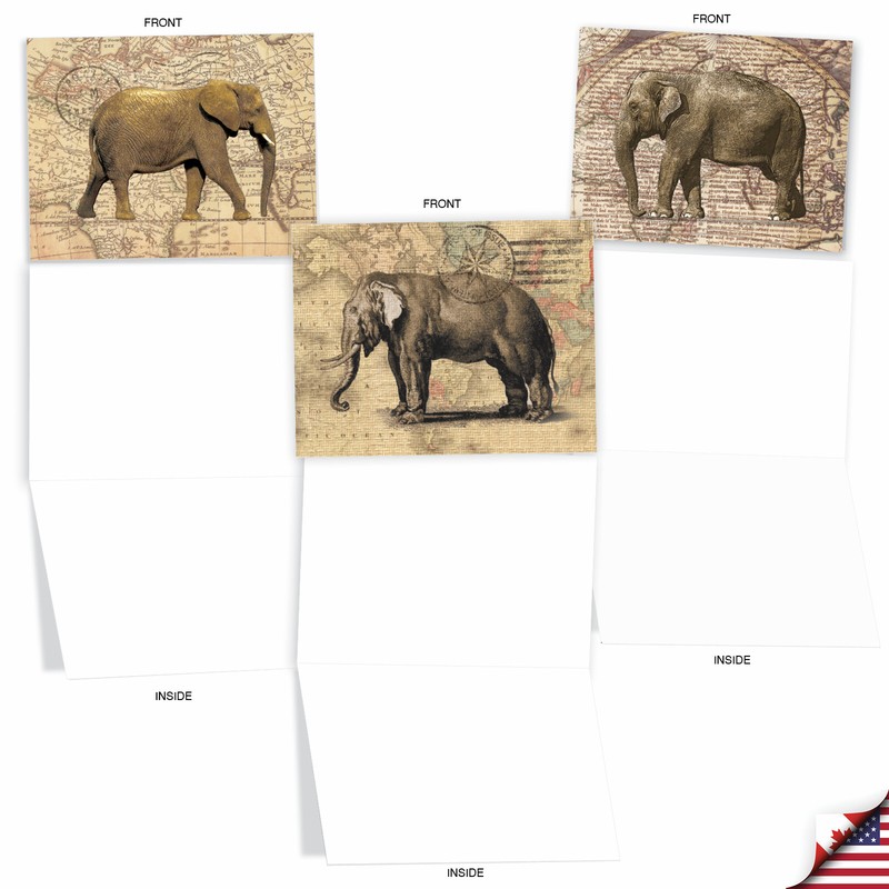 10 Assorted All Occasion Blank Note Cards Pack - Trunk Mail gallery