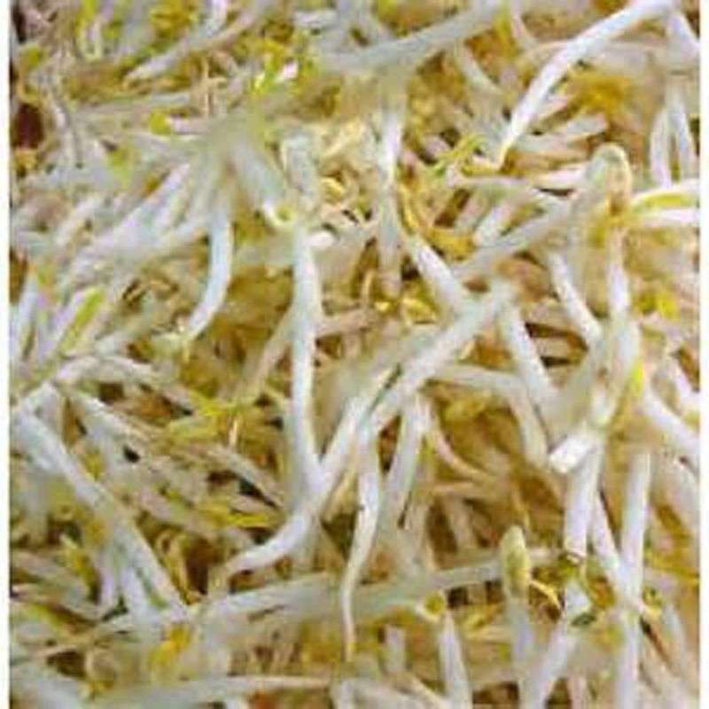 Peyton's protein mix seeds for sprouting microgreens "Cool Beans N Sprouts". gallery