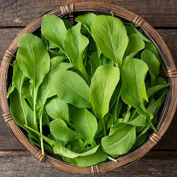 Astro Arugula Seeds | Heirloom / Non-GMO | Free Shipping | Seed Store | 1176 gallery
