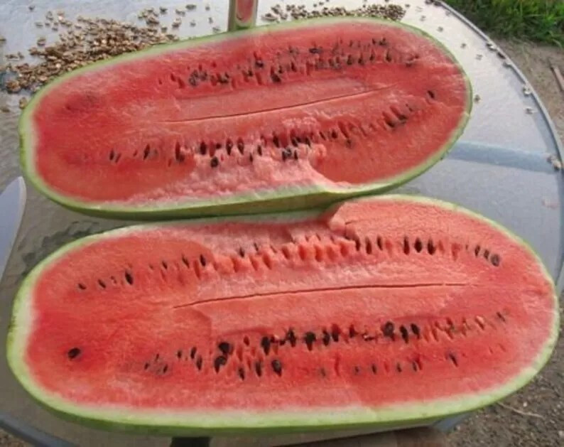 100+ CHARLESTON GREY WATERMELON SEEDS - Heirloom - Organic - NON GMO ----- GIANT gallery