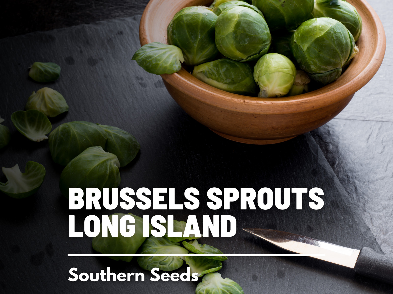 Brussels Sprouts, Long Island Improved - 150 Seeds - Heirloom - GMO Free gallery
