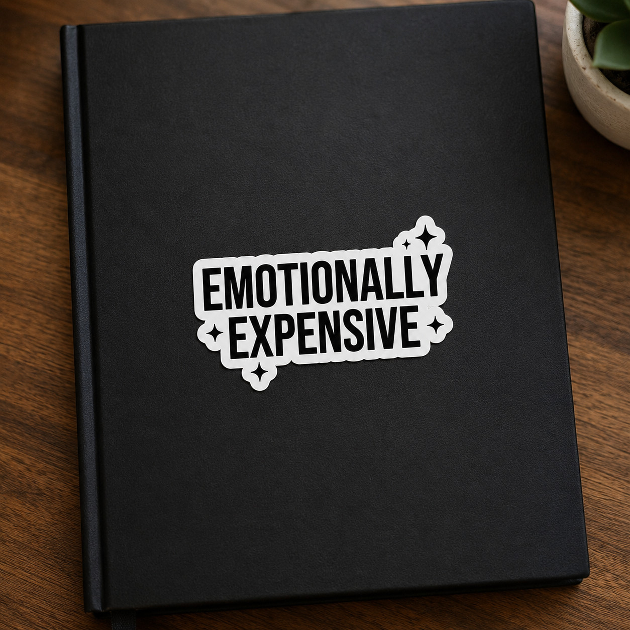 Emotionally Expensive Sticker Funny Sarcastic Quote Vinyl Decal Laptop Bottle gallery
