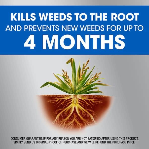 Roundup Dual Action Weed & Grass Killer CONCENTRATE Plus 4-Month Preventer, 32oz gallery
