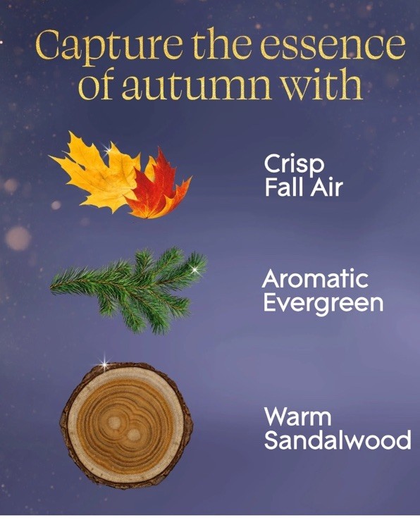 Glade PlugIns Refills Air 0.67 Fl Oz (Pack of 5), Embers & Sandalwood gallery