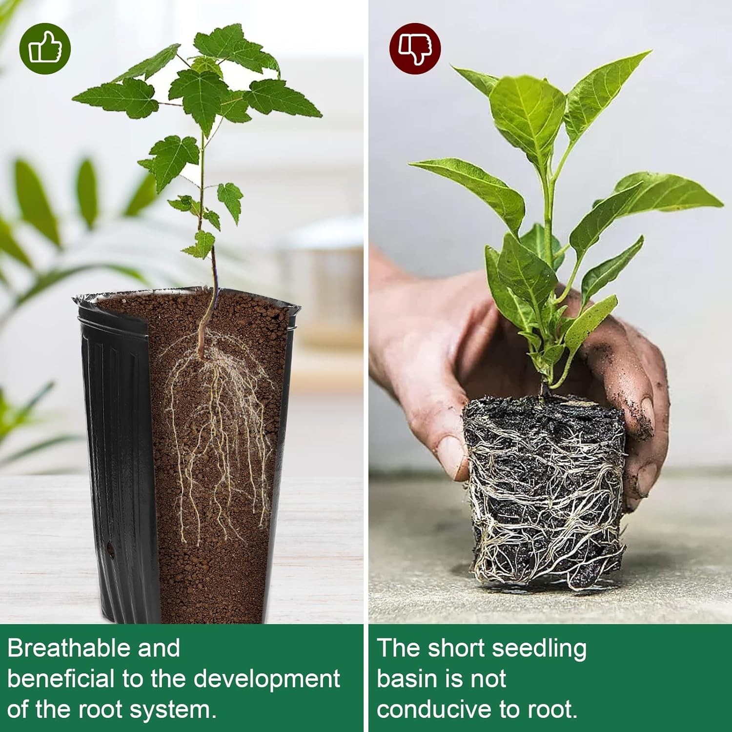 30 PCS Tree Pot Tall Seedling Flower Plant Container Starting Deep Plastic Pots gallery