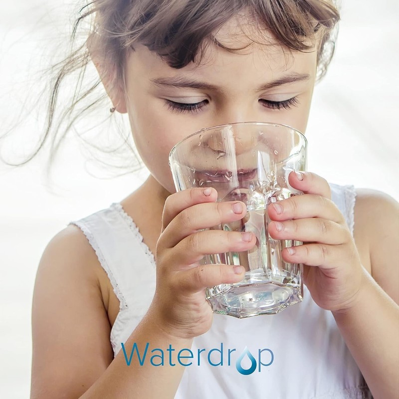 Waterdrop WD-PF-01A Plus Replacement Filters for All Pitcher Filtration System gallery