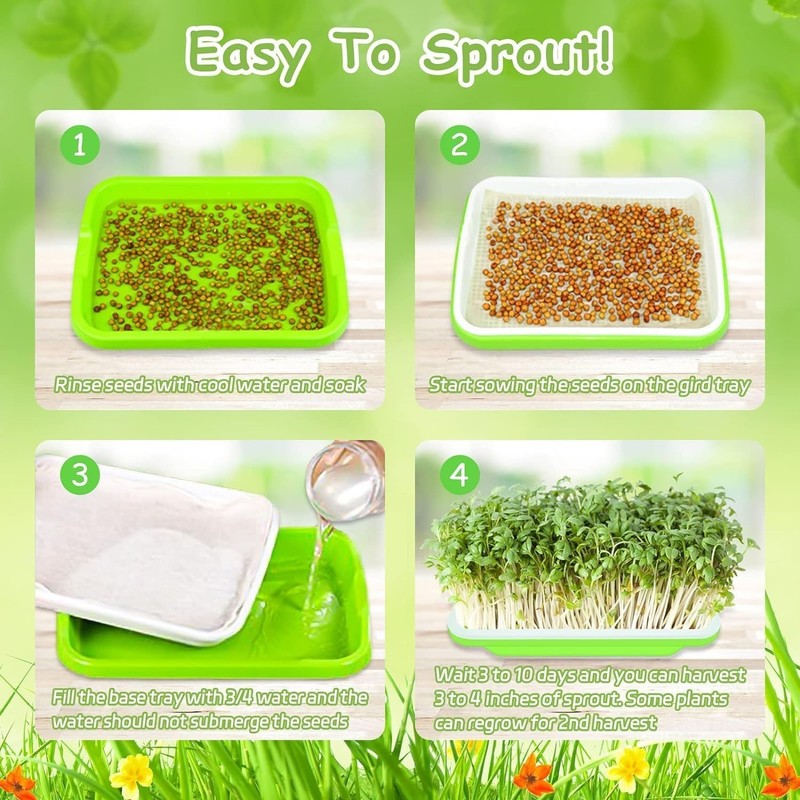 12 Complete SETS Seed Sprouter Tray with Drain Holes Nursery Microgreens Growing gallery