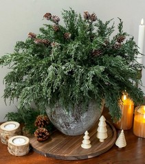 Faux Cedar Stems Artificial 12 Pcs Cedar Stems, 2 Pcs Small Pinecone Stems NEW!