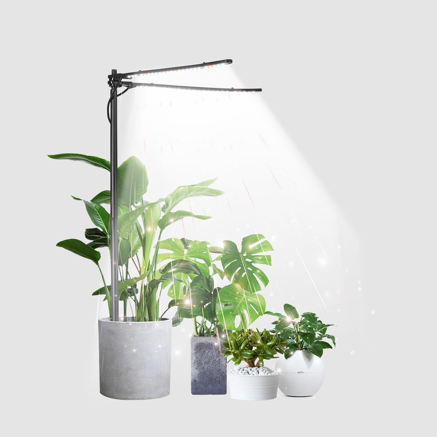 LED Grow Light For Indoor Plants 6000K White Red Light for Succulent Small Plant gallery