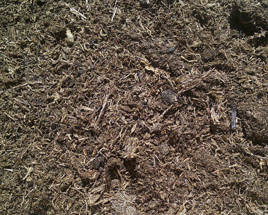 Organtic Sphagnum Peat Moss 1 Gallon Free Shipping gallery