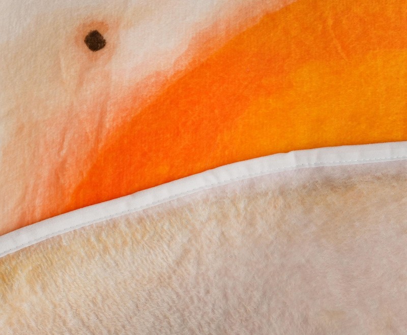 Fried Egg Round Fleece Throw Blanket | 60 Inches gallery
