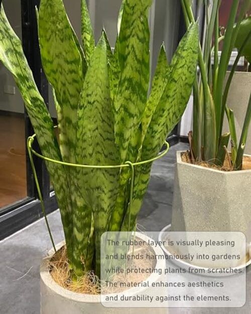 3 Pack Plant Support Stakes, Adjustable Plant Ring Cages 10" Wide x 17" High gallery