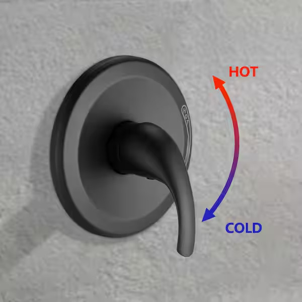 Single-Handle 35-Spray High Pressure Dual Shower Faucet in ORB (Valve Included) gallery