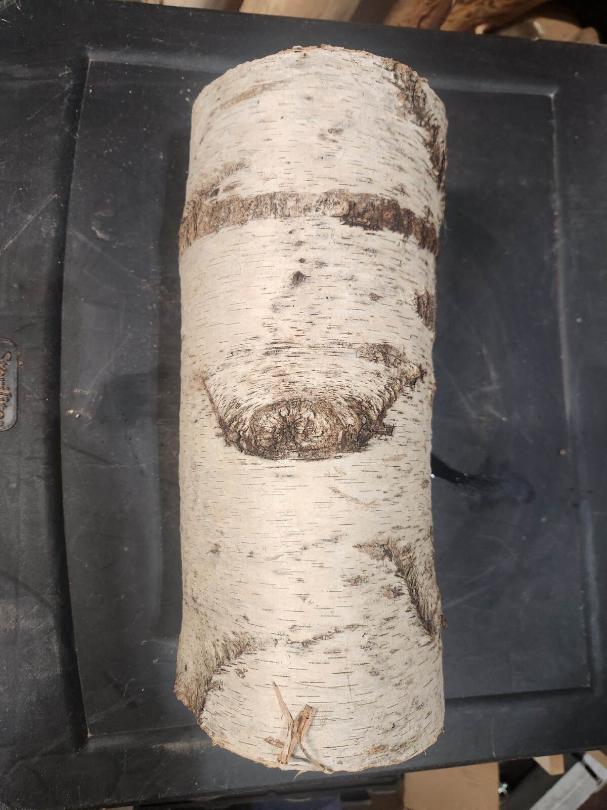 White Birch Log, Approximately 12 inches x 5 inches diameter gallery