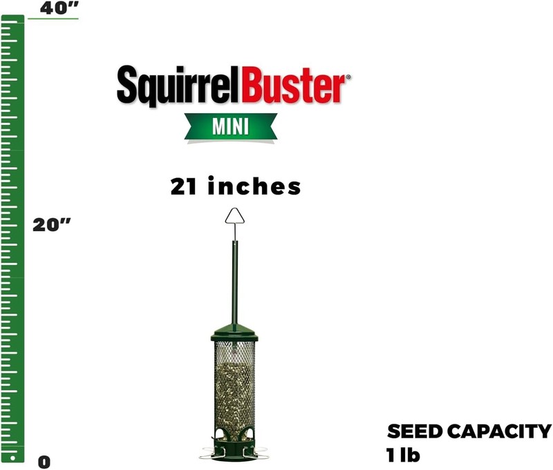 Brome Squirrel Buster Mini Bird Feeder, Squirrel Proof gallery