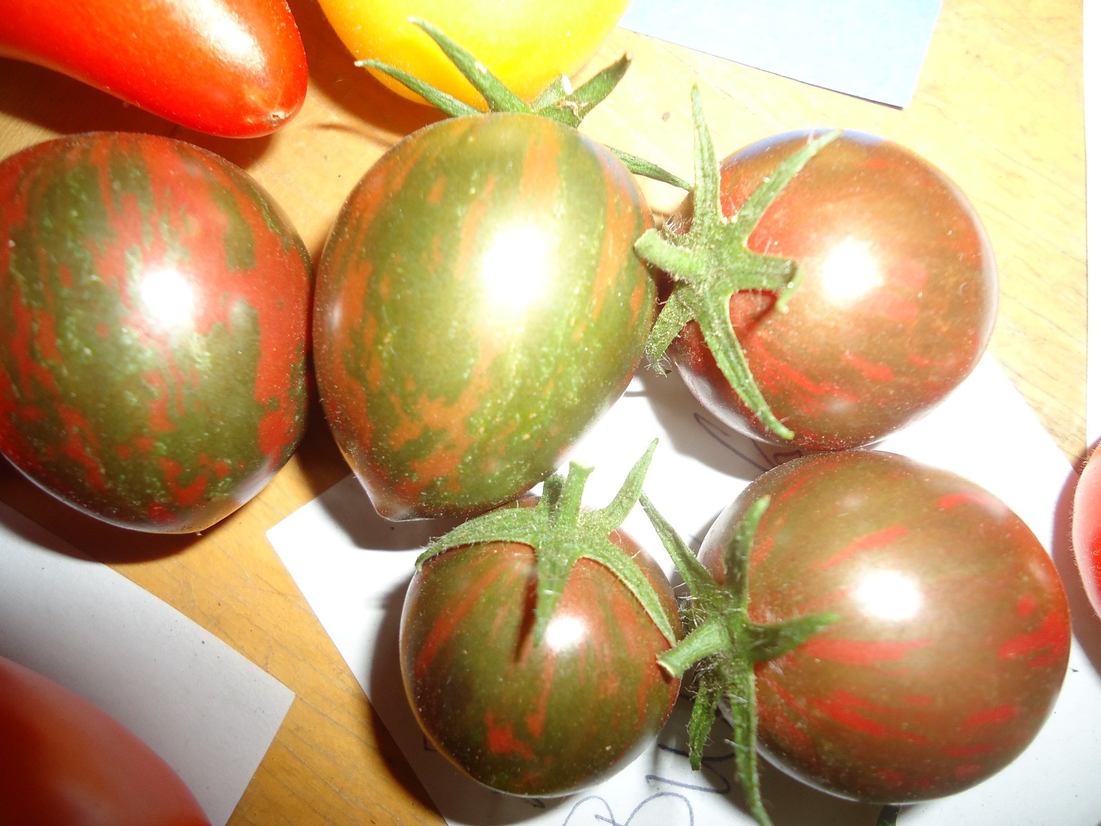 Purple bumblebee Heirloom tomato 20 seeds gallery